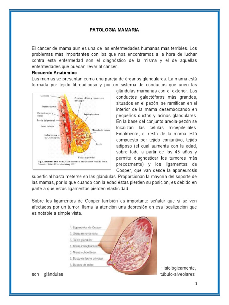 Guía Completa de Patología Mamaria | PDF | Pecho | Cáncer de mama