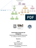 Mapa Conceptual 2.1 Carbohídratos