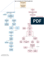 Mapa Conceptual 6. Gametogénesis