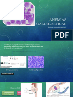 Anemias Megaloblasticas