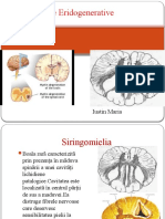 Bolile Iridodegenerative A SN Si Muscular Tema 8 - 1612879246