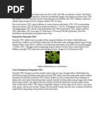 Download dha punya by Rhe Rhe Dha SN58777022 doc pdf