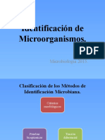 Identificación de Microorganismos