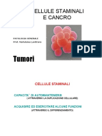 Lezione 16 - Cellule Staminali e Cancro