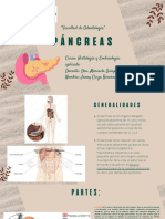 Páncreas - Histología