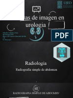 Tecnicas de Imagen en Urologia Alo