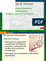 Chapter 26 Arthropods