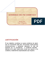 seminariopiediabetico-131211123510-phpapp01