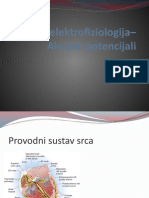 Predavanja Srčana Elektrofiziologija