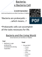 Bacteria Are EVERYWHERE! - Bacteria Are Prokaryotic - Which Means ? - Prokaryotic Cells Can Accomplish All The Tasks Necessary For Life