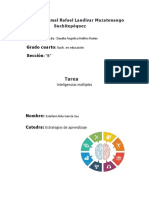 Inteligencias Multiples