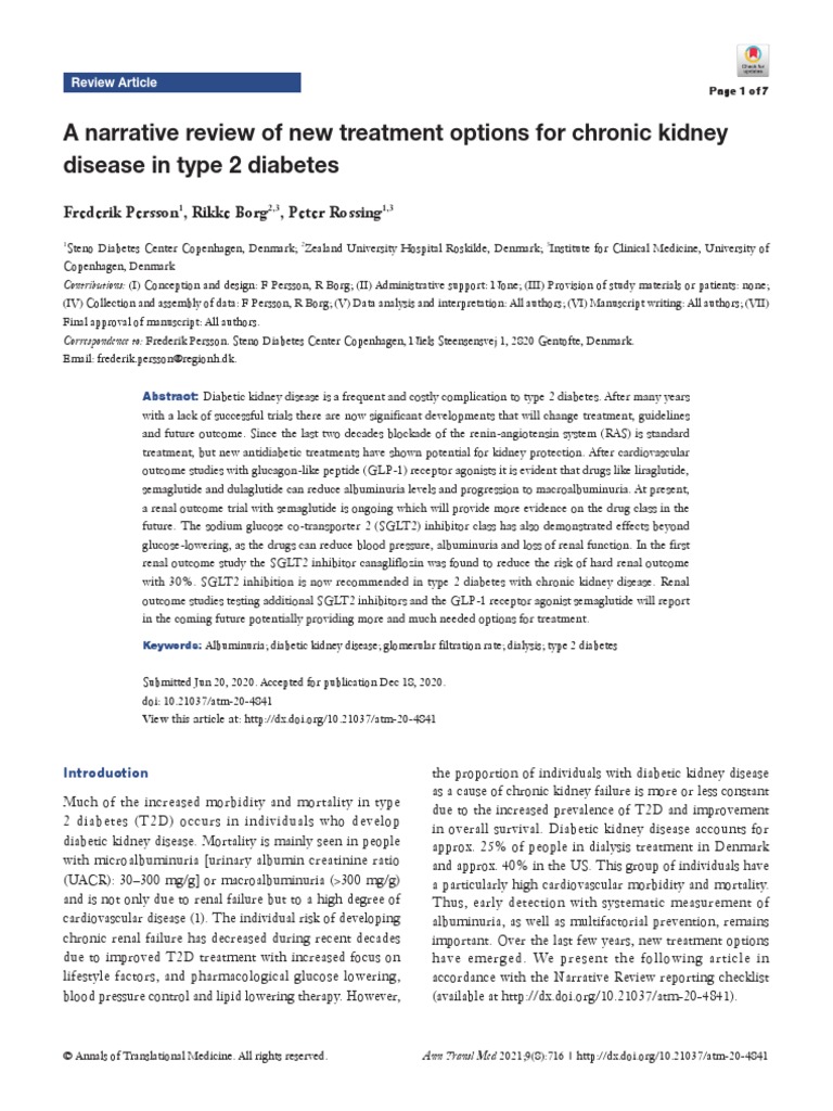A Narrative Review of New Treatment Options For Chronic Kidney Disease