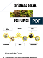 Fungos: decompositores e doenças