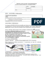 Guia 2 Evidencias Evolutivas Anatomia Comparada Biogeografia Embriologia