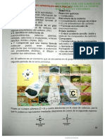 SEGUNDA PARTE ALIMENTOS CON INDICACIONES (1)