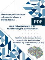 Trabajo Práctico Neuropsicología - Grupo 2