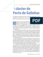 O Cluster de Porto de Galinhas