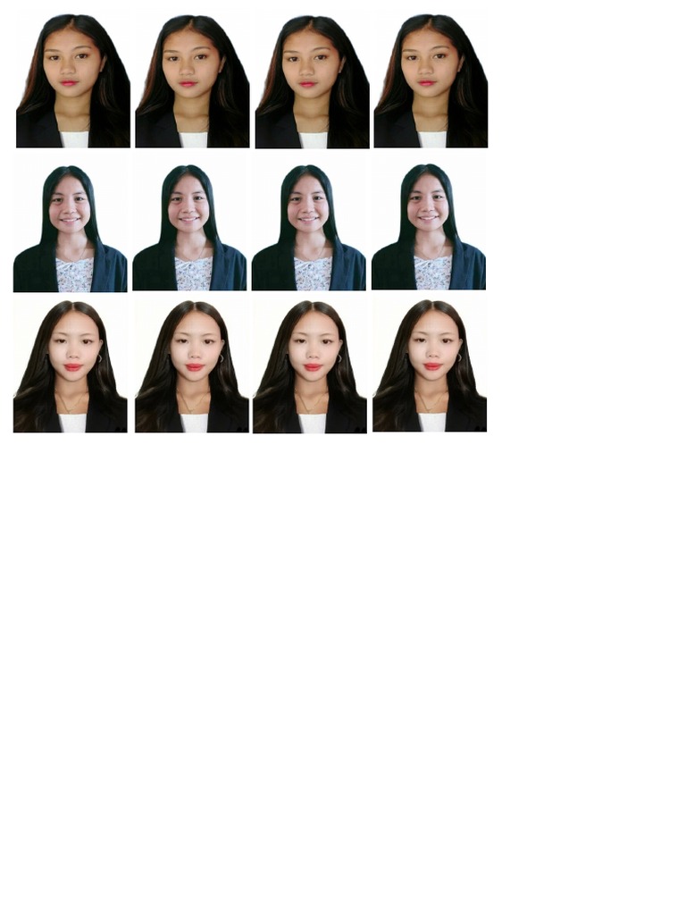 Passport | PDF