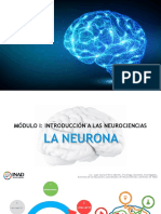 Clase 2.1 - Neurona