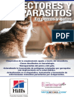 VECTORES Y PARASITOS En Perros y Gatos