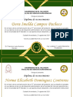 Diseño Administrativo PDF