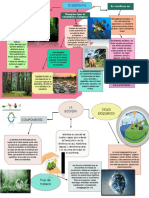 Ecologia Semana 1 Parcial 2