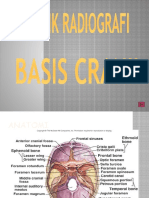 3.1 TR Basis Cranii (Bu Diva)