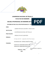 Informe de Practicas Ordonio Imprimir