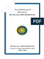 Pola Ketenagaan Akuntansi 2017