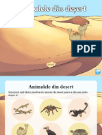 T T 252994 Animalele Din Desert Prezentare Powerpoint - Ver - 1