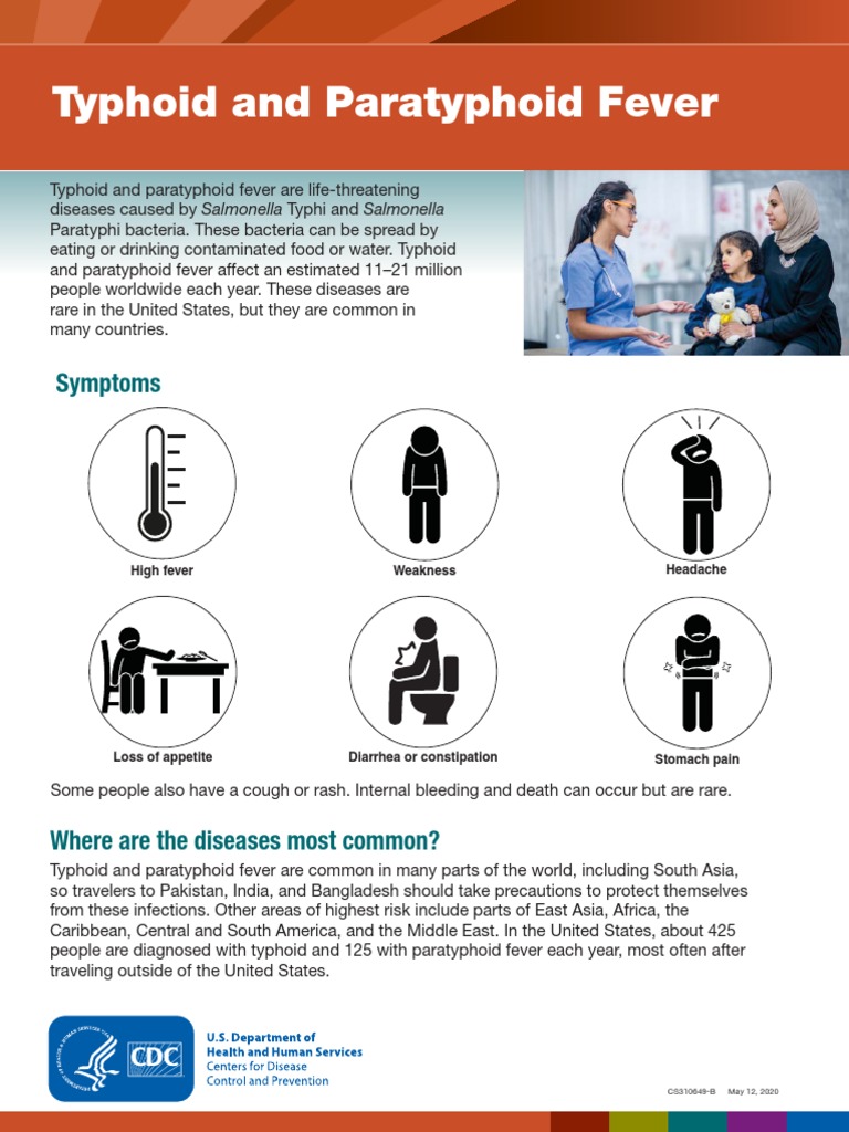 Paratyphoid Fever Definition , Clinical Overview of Typhoid Fever and ...