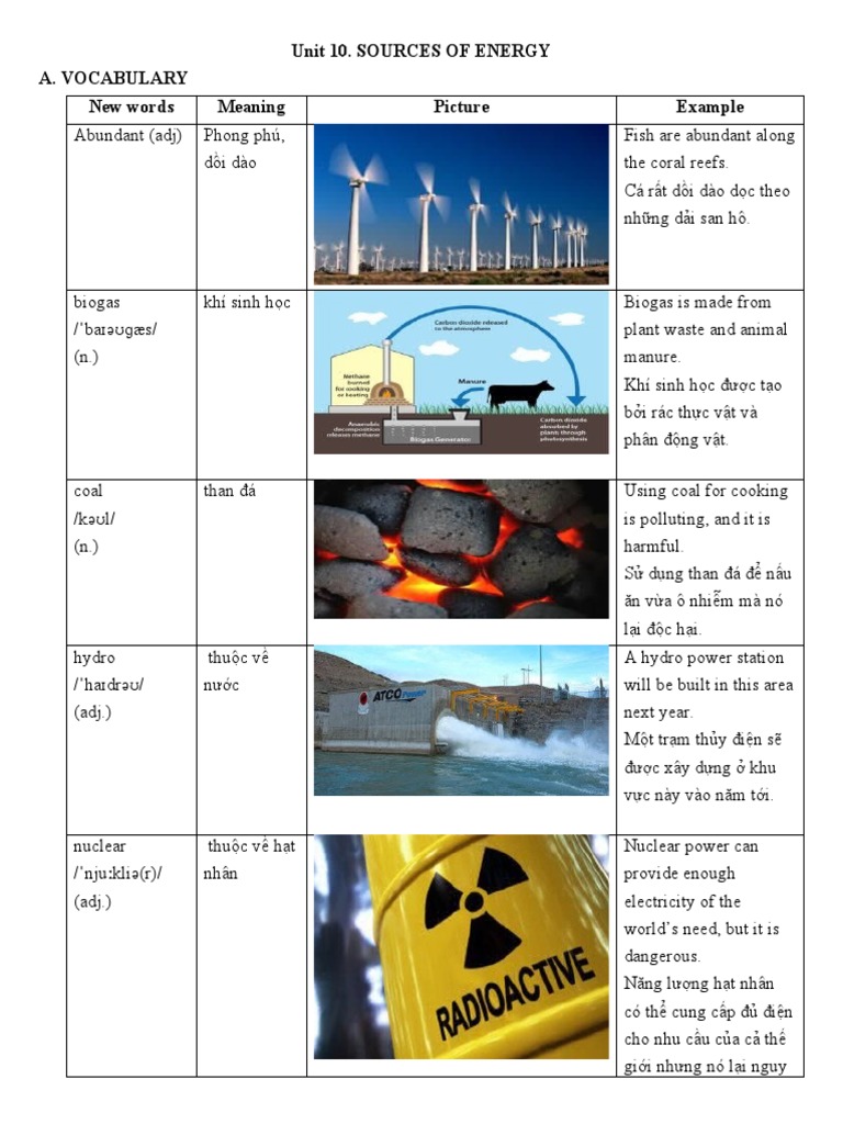 Unit 10 | PDF