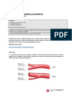 T10 - P - Biofísica Circulatoria