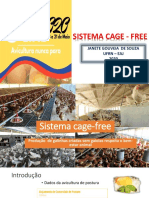 01 Sistema cage-free