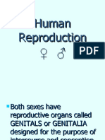 Human Reproduction Organs