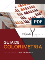 E Book Guia Da Colorimetria