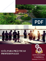 Guia de Práctica Profesional (Est. y Empresa)
