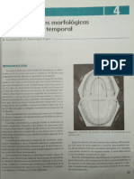 Anatomia Dental