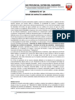 Formato Nº24 Informe de Impacto Ambiental