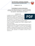 Formato Nº23 Plan de Seguridad y Salud Ocupacional