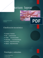 Mycobacterium Leprae