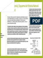 Hipertensión Arterial, Esquema de Historia Natural de