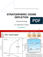 04 - Stratosferic Ozone Depletion - 2020