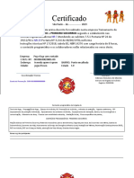 Certificado Brigadista Modelo (Frete e Verso)