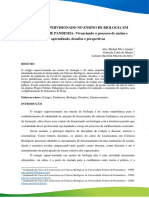 Texto 4 - Estagio em Tempo de Pandemia