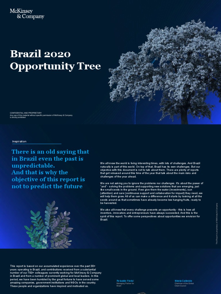 20 Opportunities for Brazil in 2020: An Overview of Potential