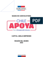 Bases CAPITAL ABEJA EMPRENDE 2022 CHILE APOYA Biobío V°B°