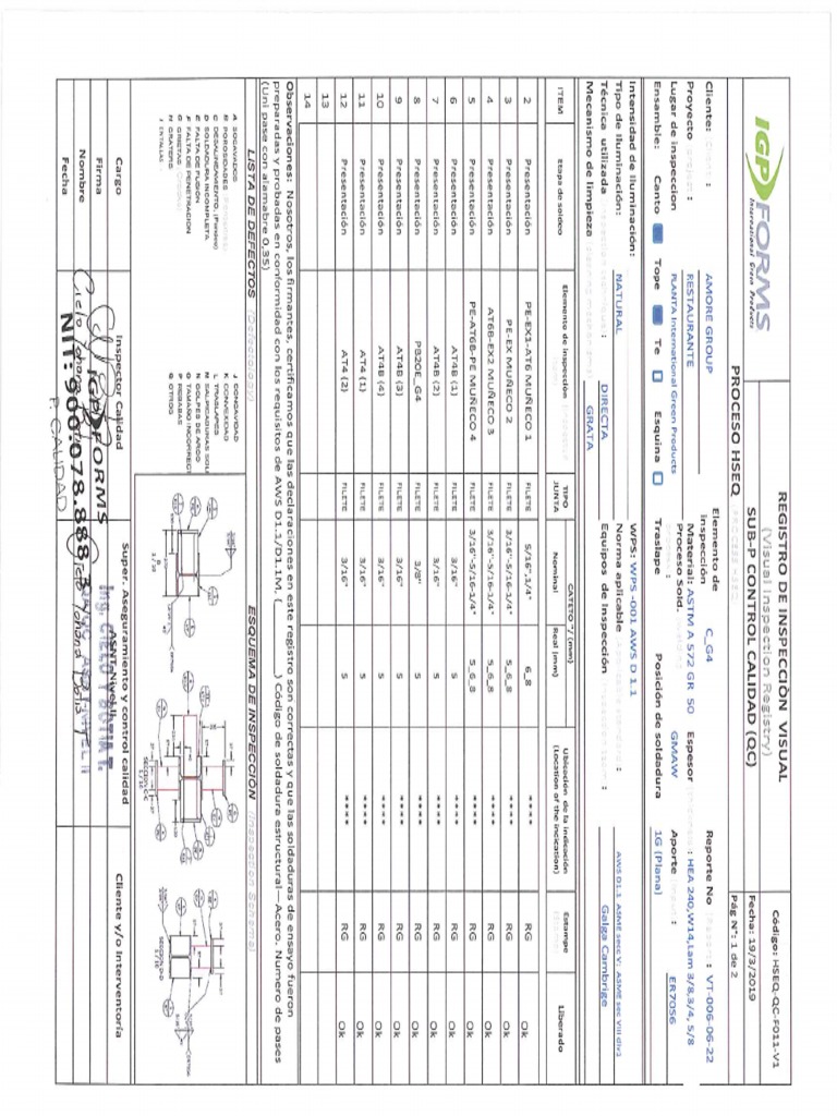 Formato De Reporte De Inspeccion Visual