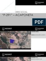 Presentacion P-291 Acaponeta Interes Social