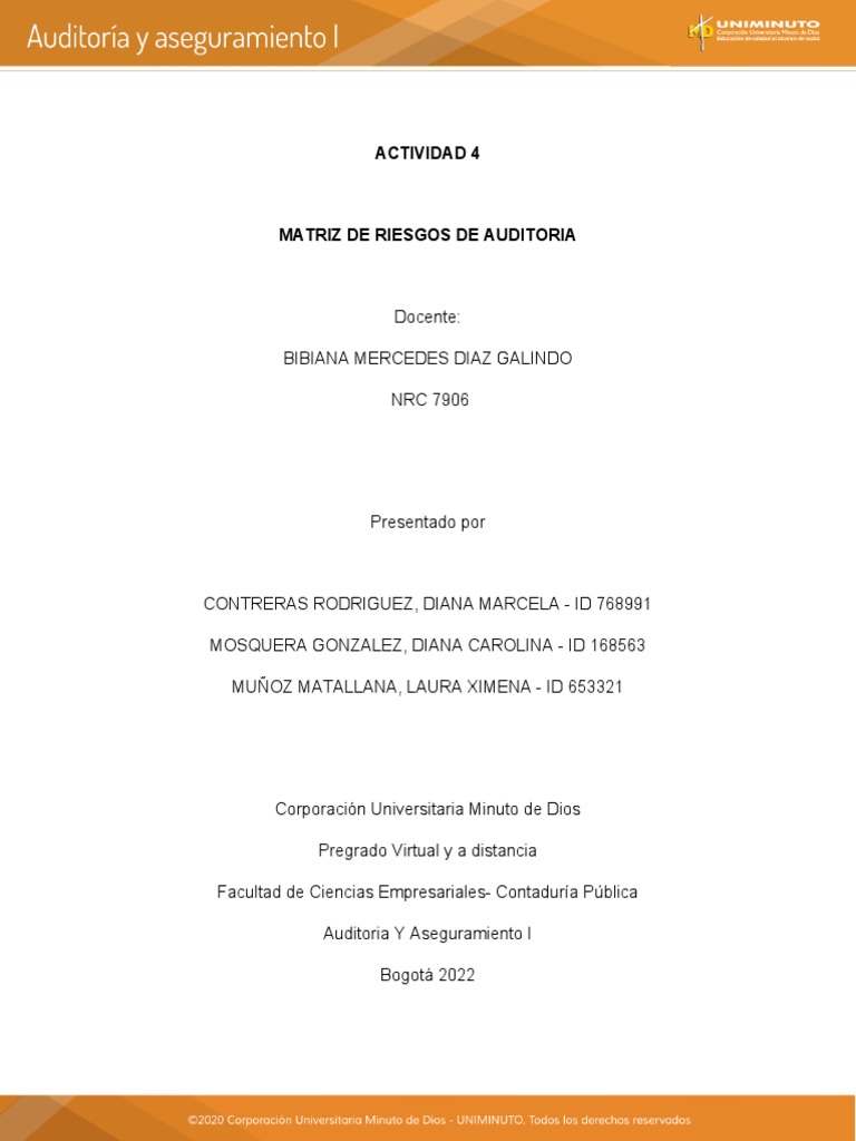 Matriz de Riesgos en Auditoría Financiera | PDF | Auditoría | Business